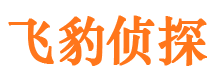 澧县外遇调查取证